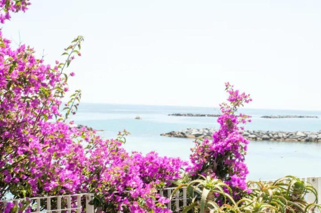 Casa Vacanza Rossella Sanremo Eksteriør billede