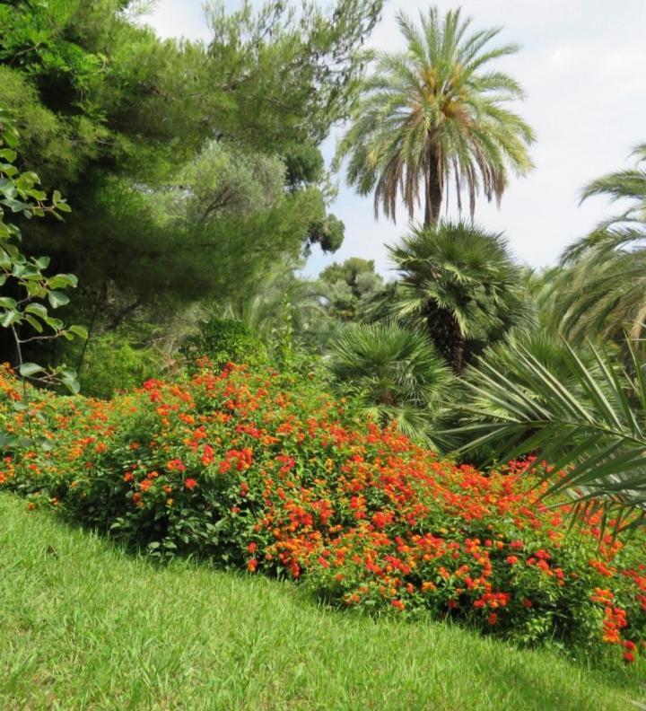 Casa Vacanza Rossella Sanremo Eksteriør billede