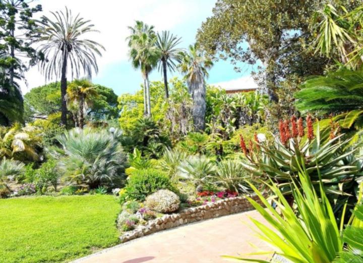 Casa Vacanza Rossella Sanremo Eksteriør billede