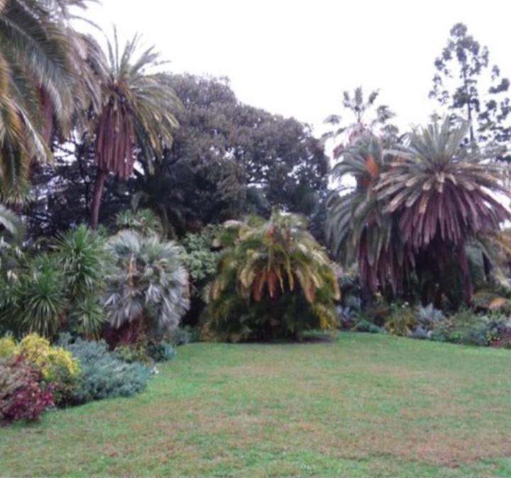 Casa Vacanza Rossella Sanremo Eksteriør billede